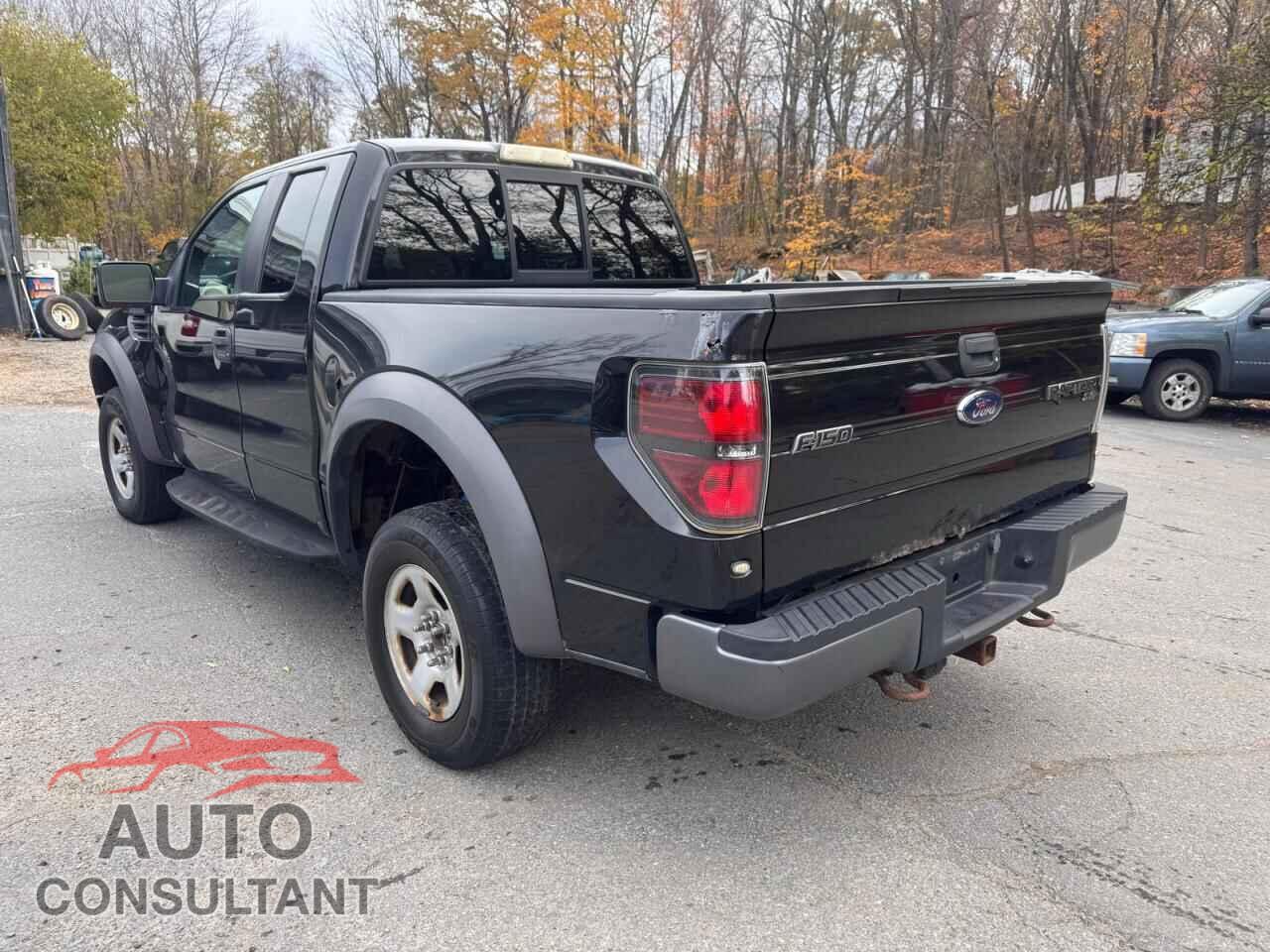 FORD F-150 2010 - 1FTEX1EV4AFA36896