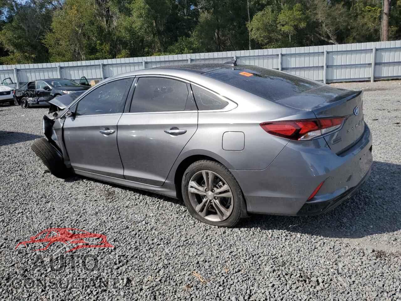 HYUNDAI SONATA 2019 - 5NPE34AF7KH814191