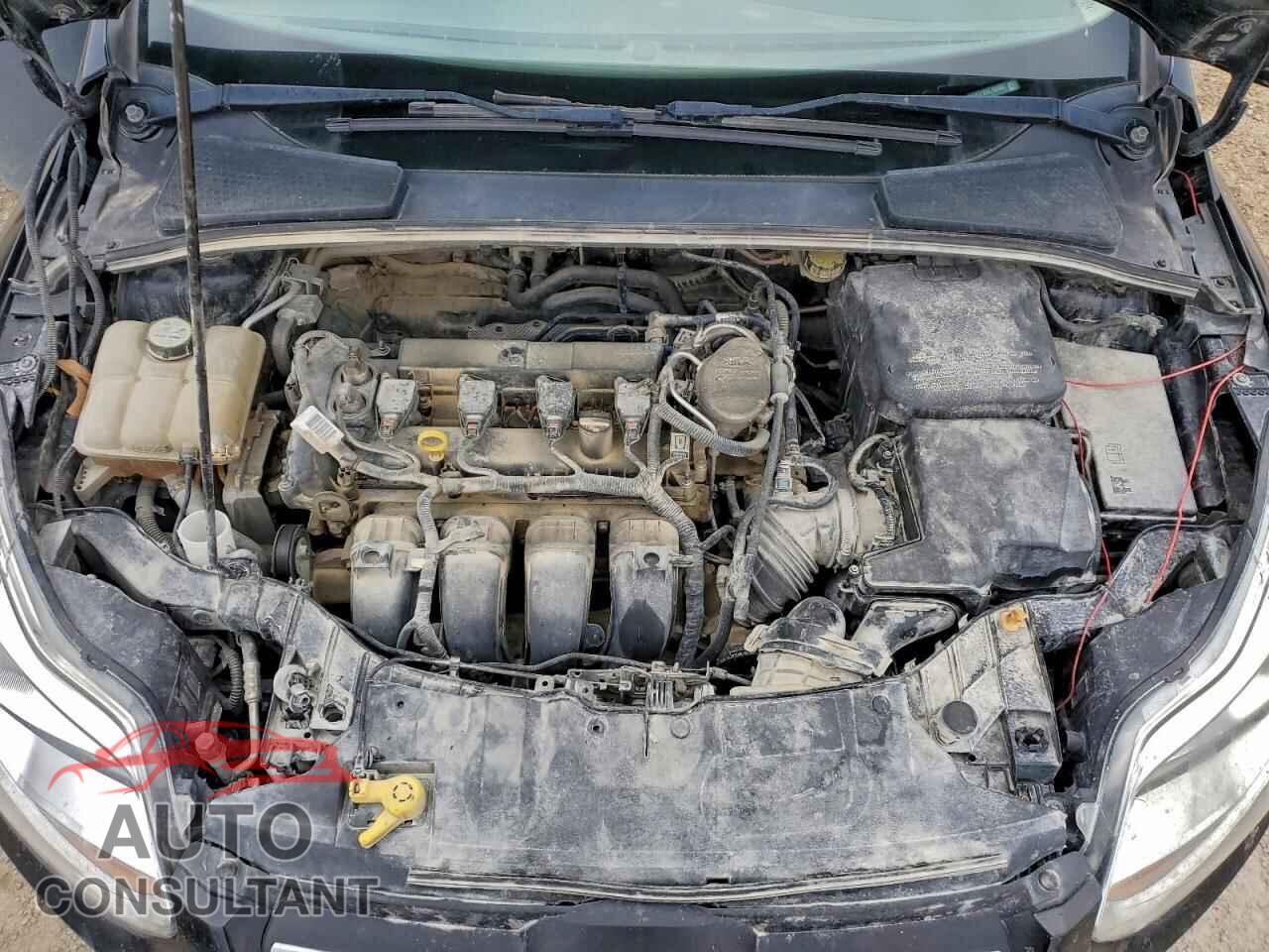 FORD FOCUS 2013 - 1FADP3F23DL132462