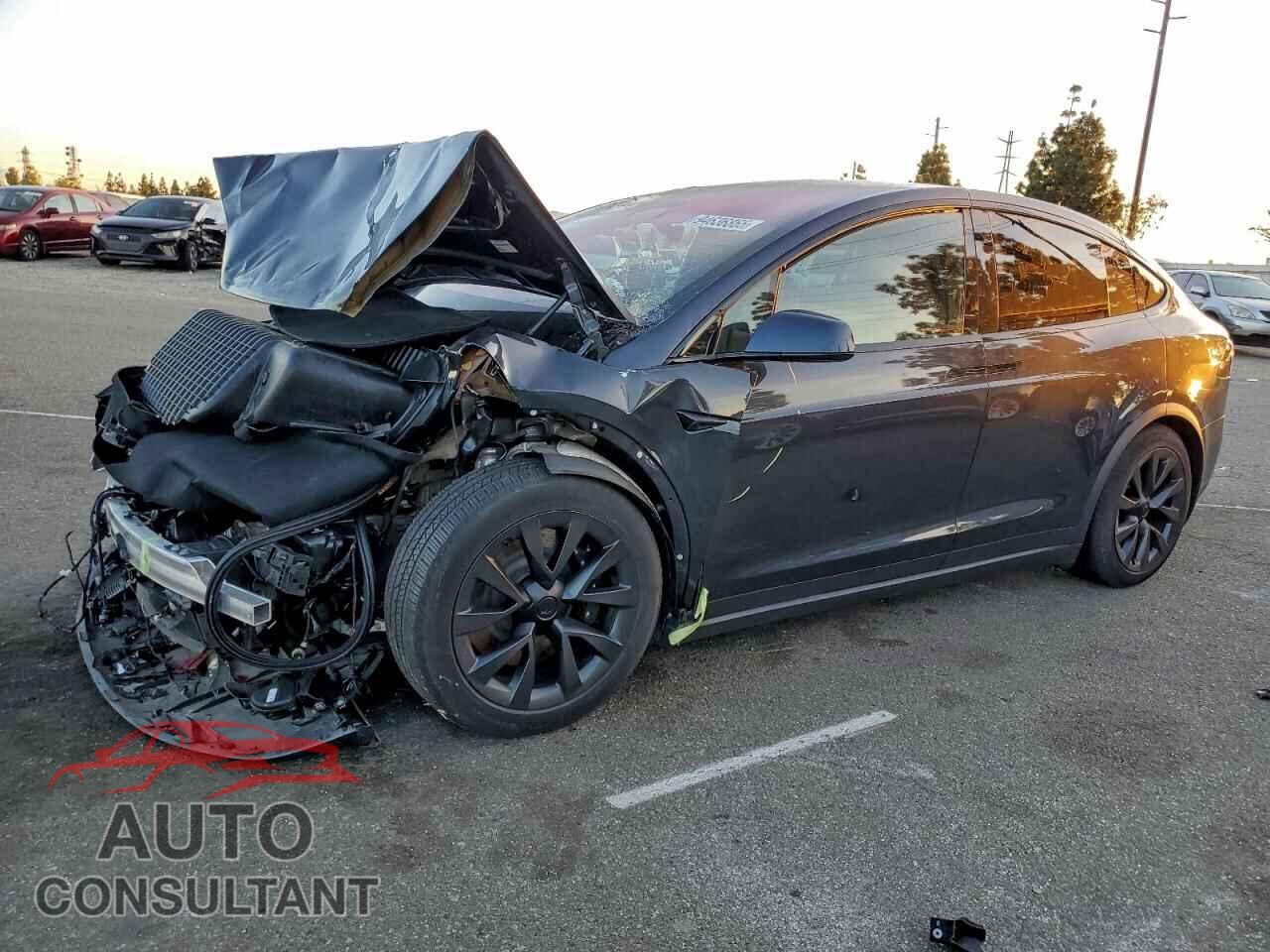 TESLA MODEL X 2024 - 7SAXCBE52RF444746