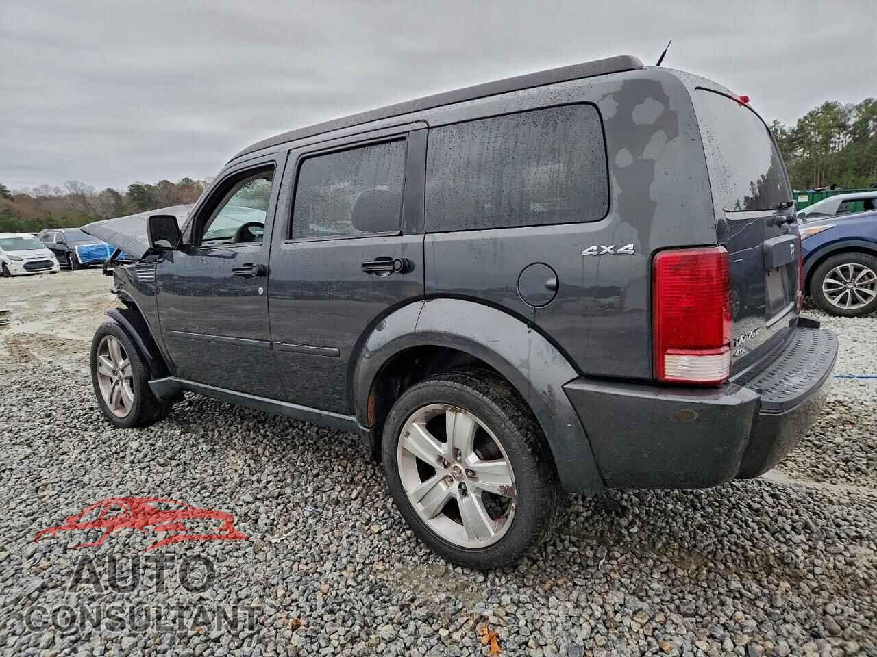 DODGE NITRO 2011 - 1D4PU4GX2BW512486