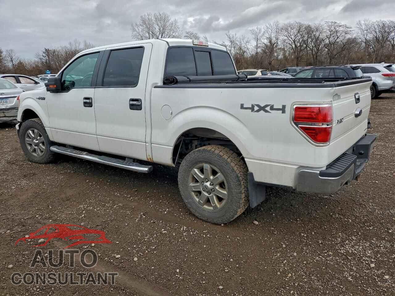 FORD F-150 2013 - 1FTFW1EF8DKE92928