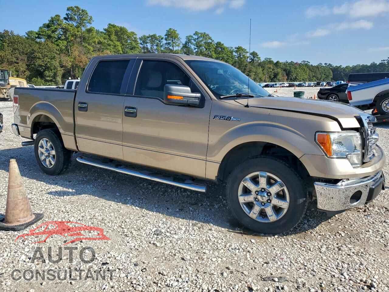 FORD F-150 2013 - 1FTEW1CM2DKF52439