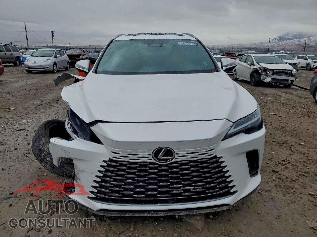 LEXUS RX350 2024 - 2T2BAMCA2RC063827