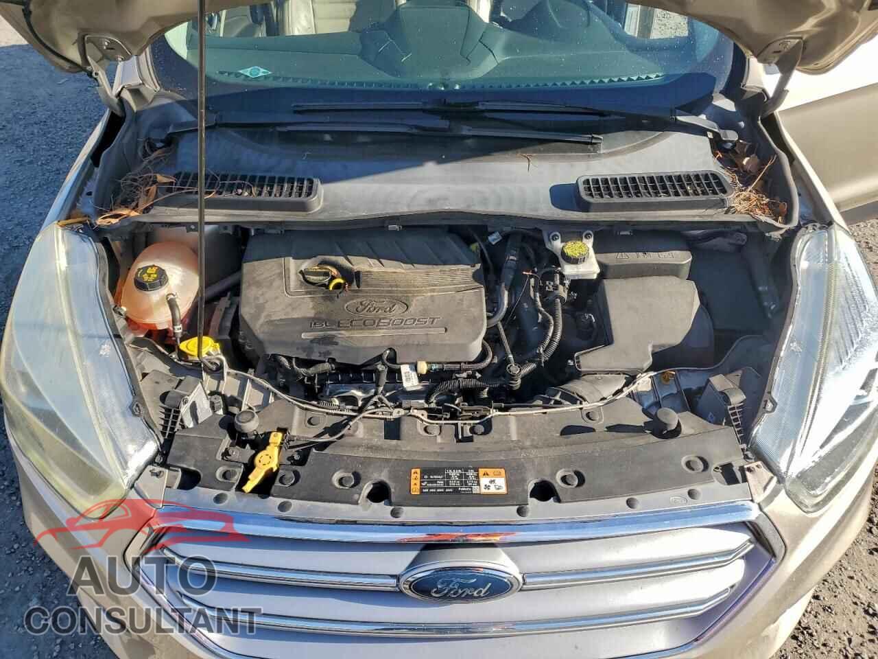 FORD ESCAPE 2017 - 1FMCU0JD7HUB86512