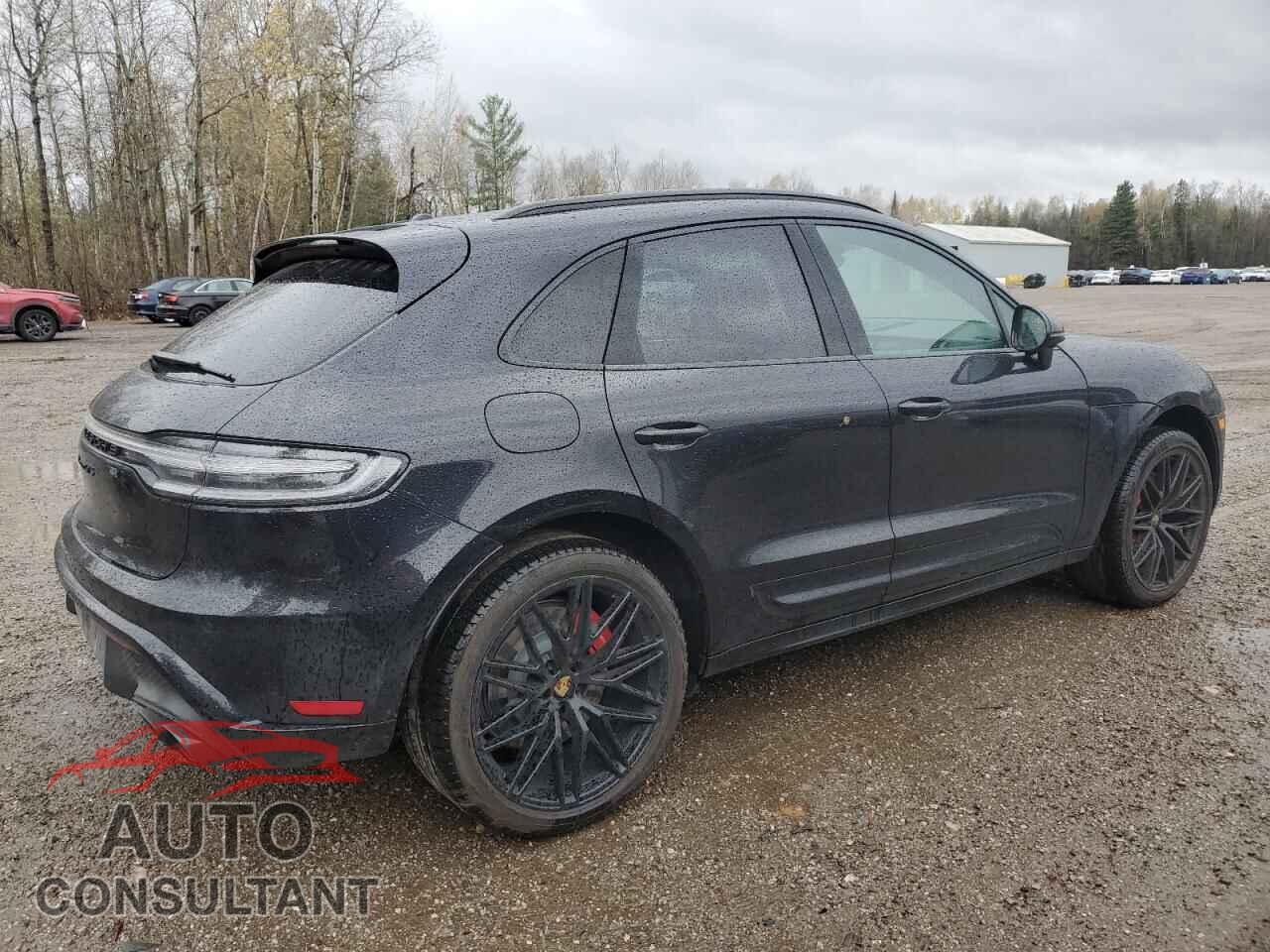 PORSCHE MACAN 2025 - WP1AF2A51SLB52202