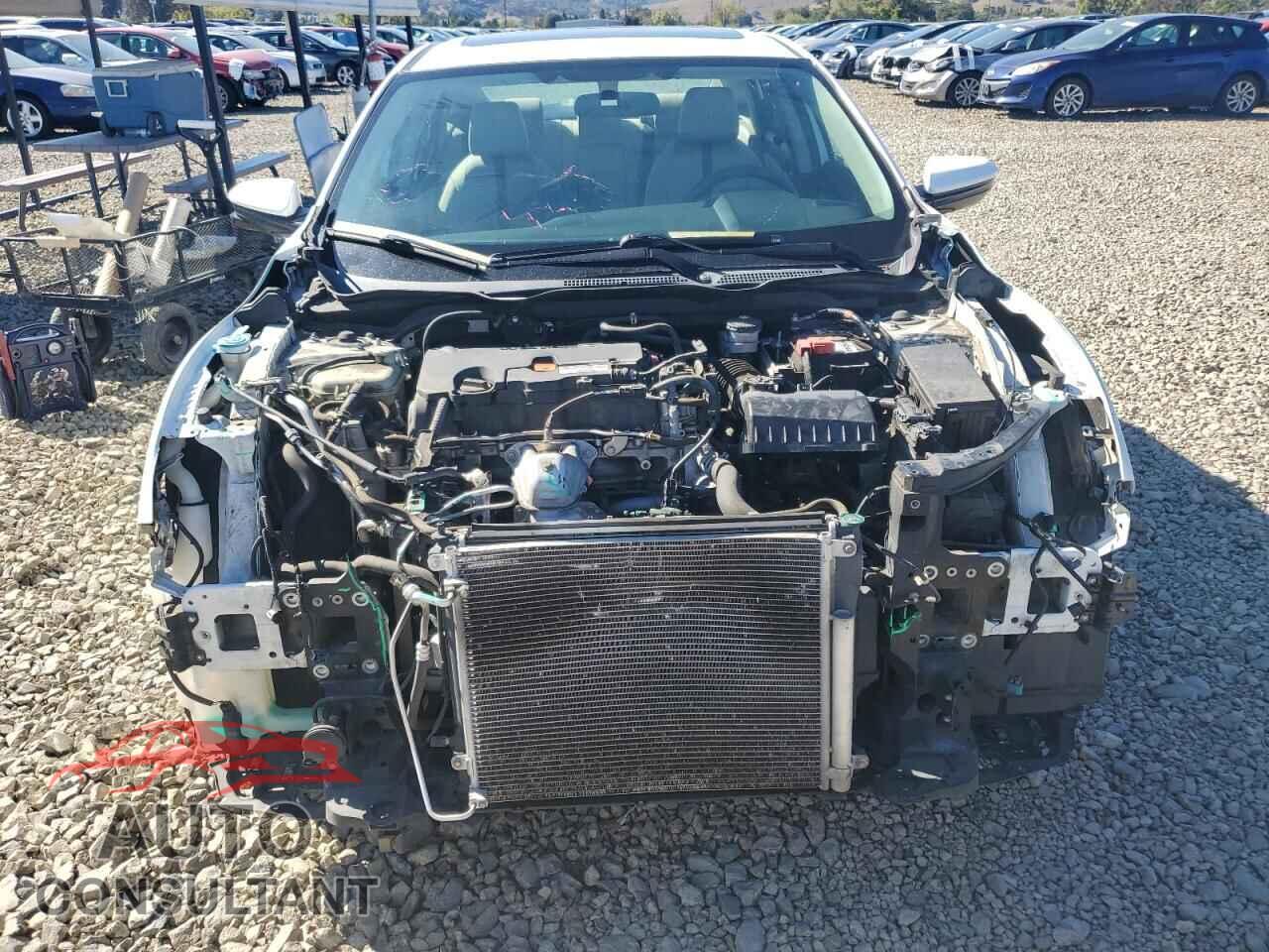 HONDA CIVIC 2018 - 2HGFC2F70JH567602