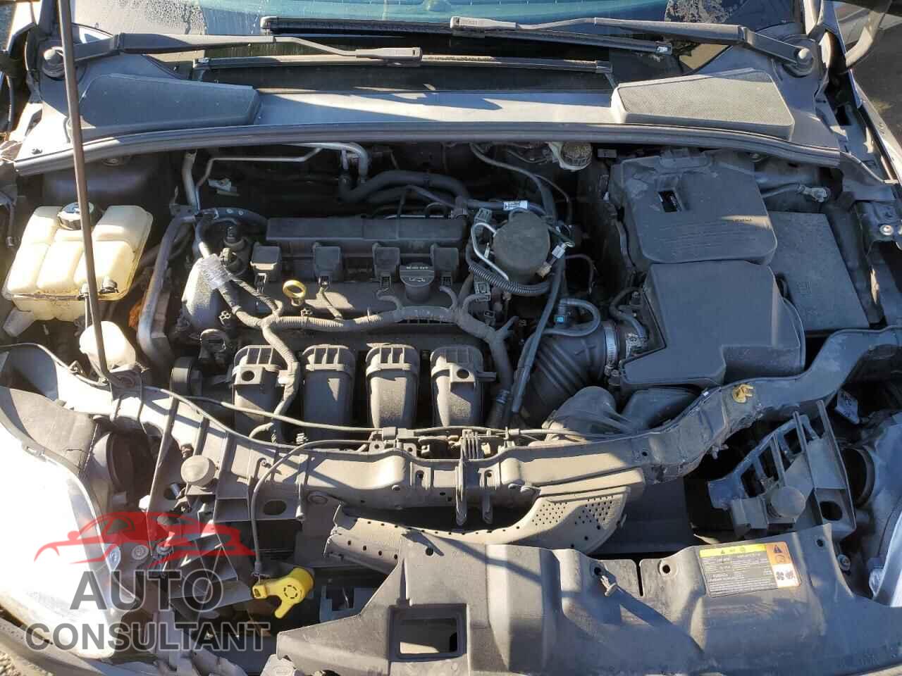 FORD FOCUS 2012 - 1FAHP3F26CL170106