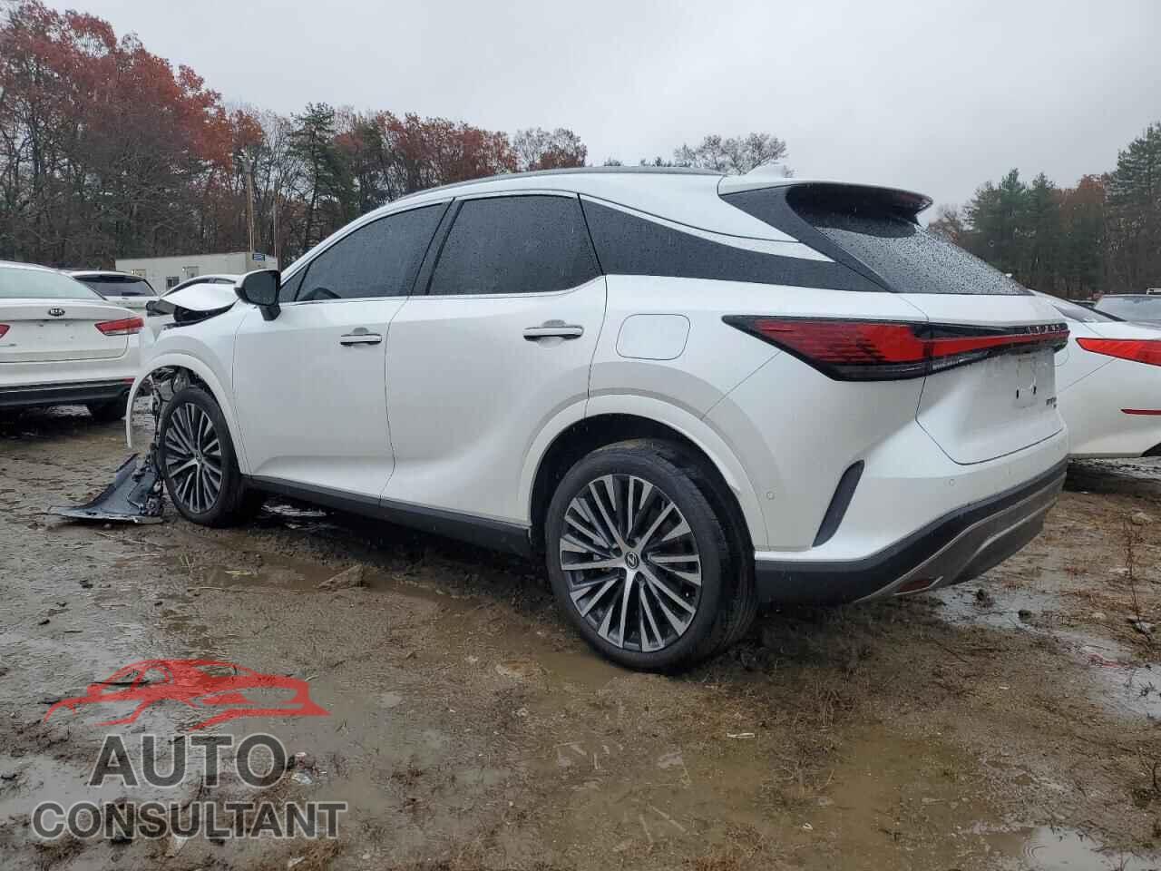LEXUS RX 350H BA 2024 - 2T2BBMCA2RC046765