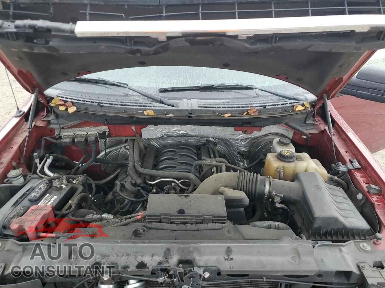 FORD F-150 2013 - 1FTFX1CF5DFA21179