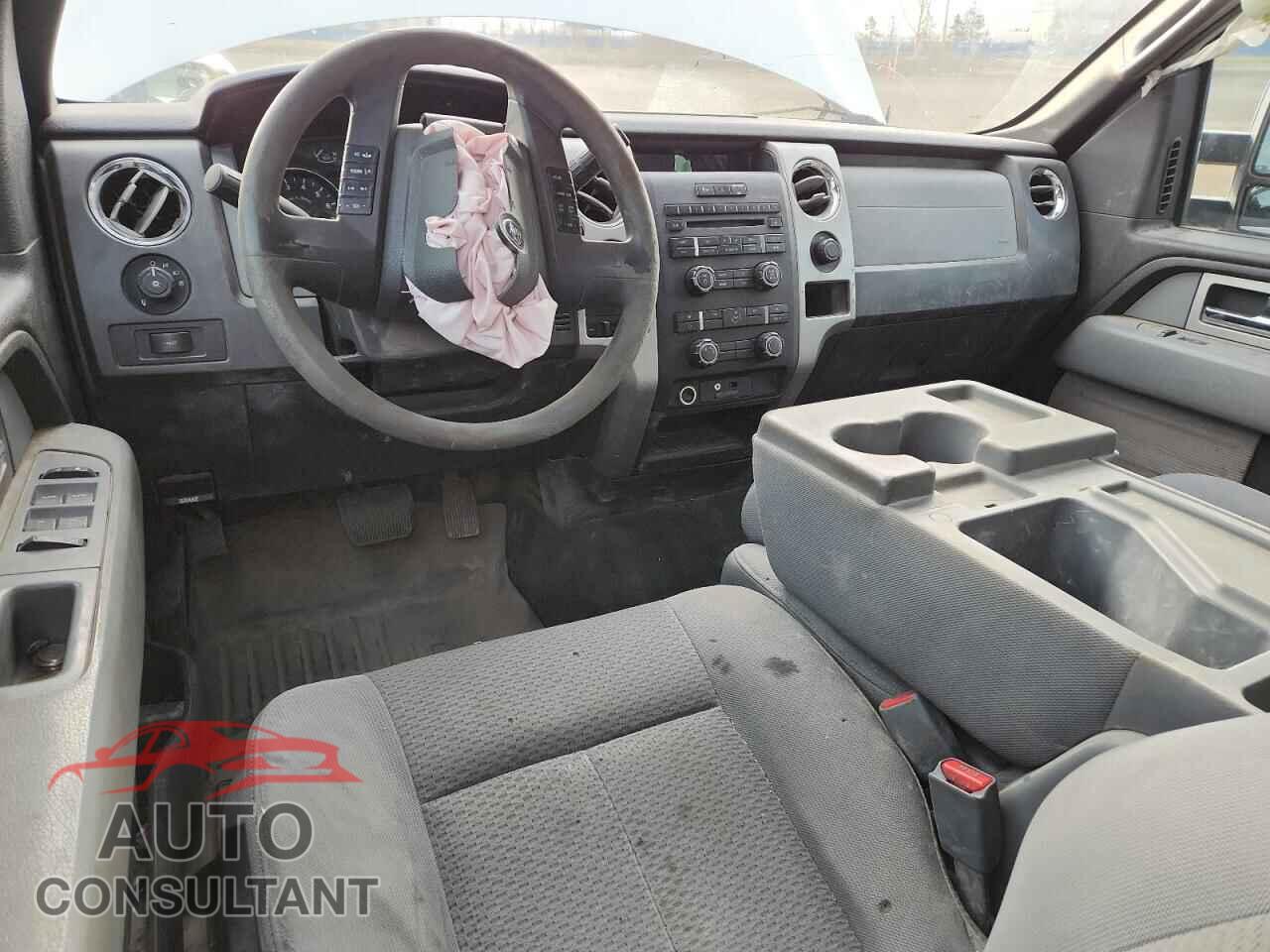 FORD F-150 2011 - 1FTFX1EF4BFB86165