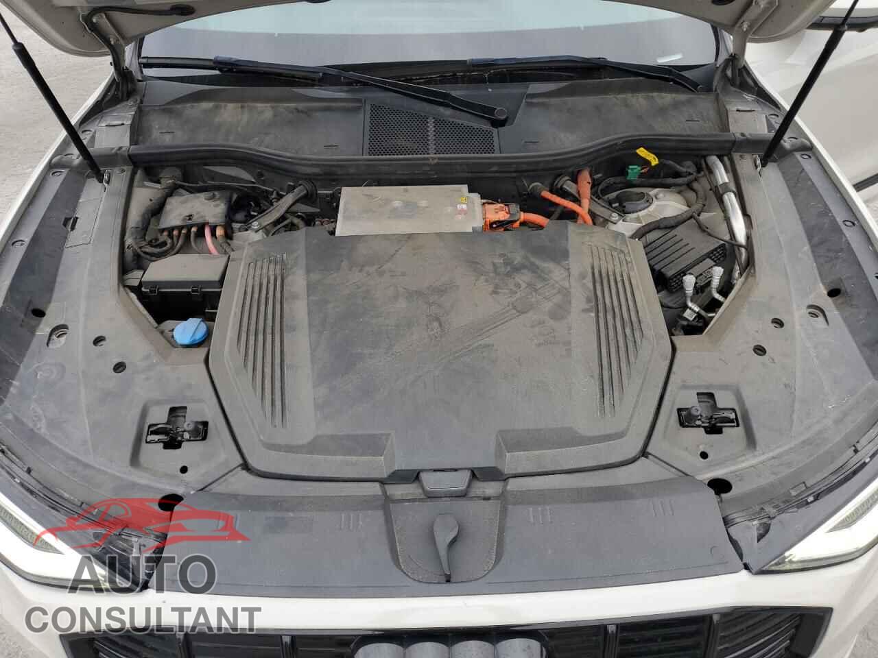 AUDI E-TRON 2019 - WA1LAAGEXKB024633