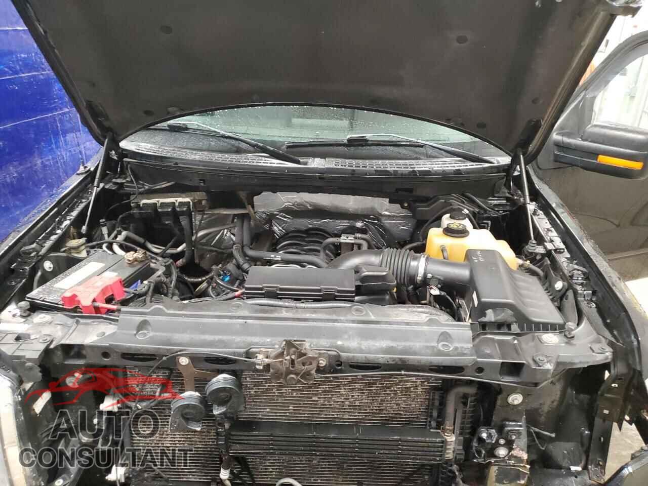FORD F-150 2013 - 1FTFX1EF6DFD39020