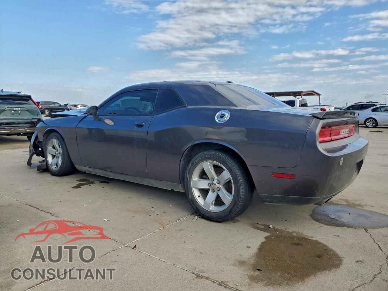 DODGE CHALLENGER 2013 - 2C3CDYAG8DH512011