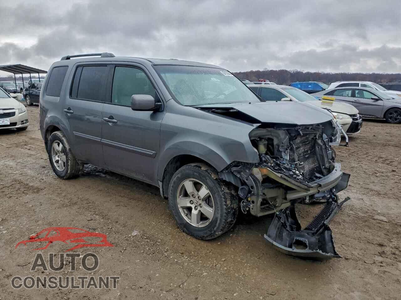 HONDA PILOT 2010 - 5FNYF3H6XAB015216