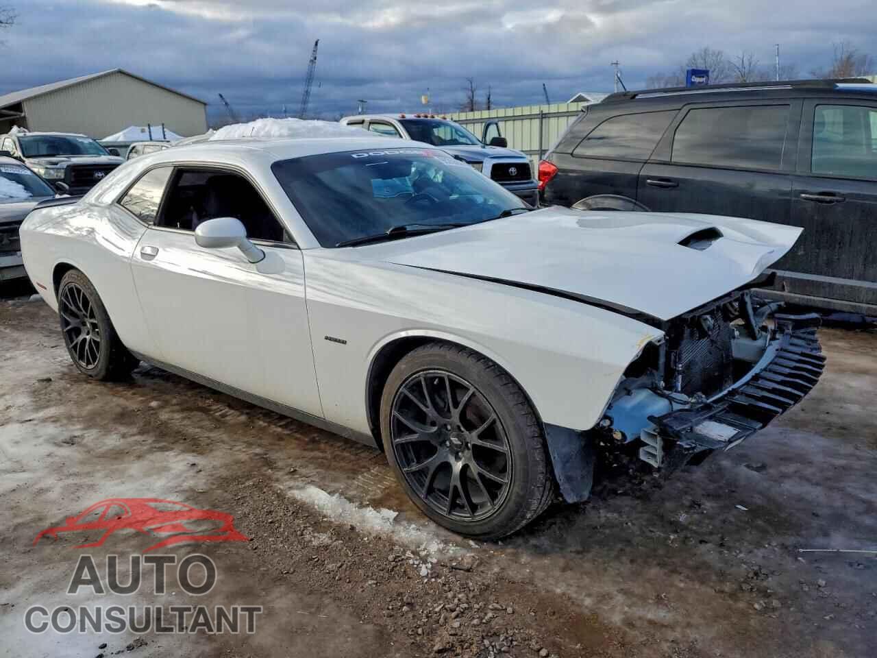 DODGE CHALLENGER 2019 - 2C3CDZBT8KH513416