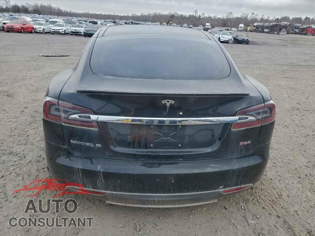 TESLA MODEL S 2013 - 5YJSA1DP0DFP14687