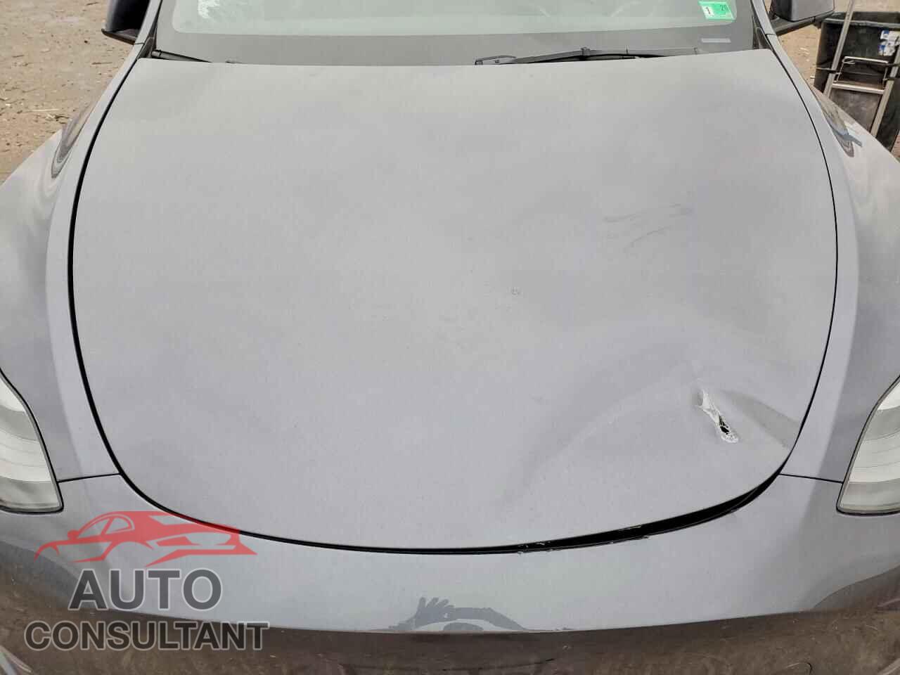 TESLA MODEL Y 2023 - 7SAYGDEF5PF936861
