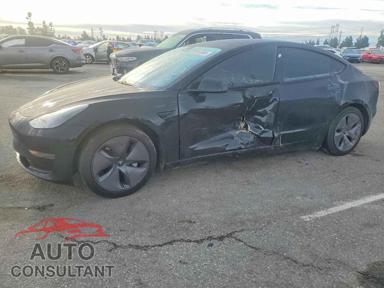 TESLA MODEL 3 2021 - 5YJ3E1EA3MF876459