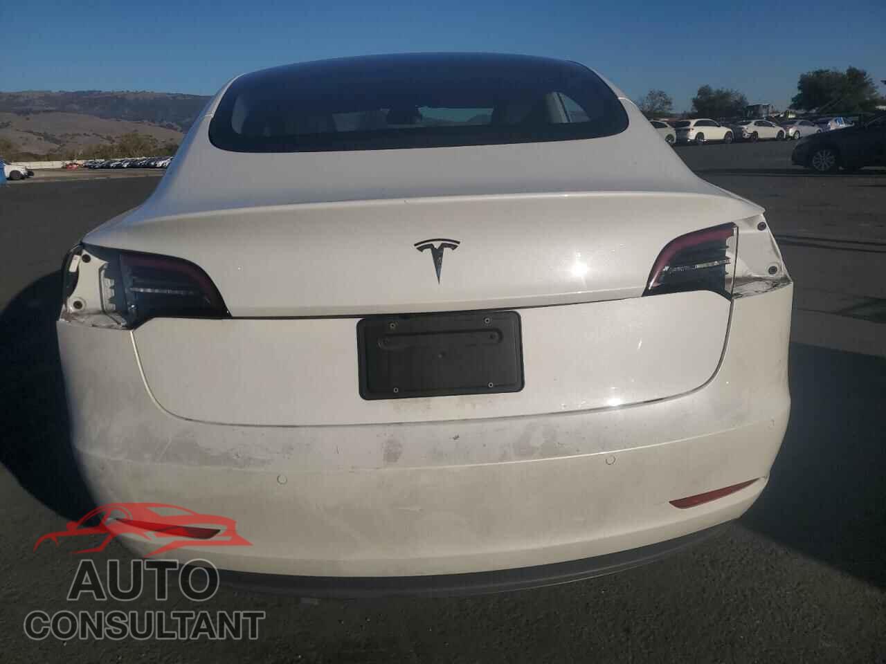 TESLA MODEL 3 2021 - 5YJ3E1EA5MF027496