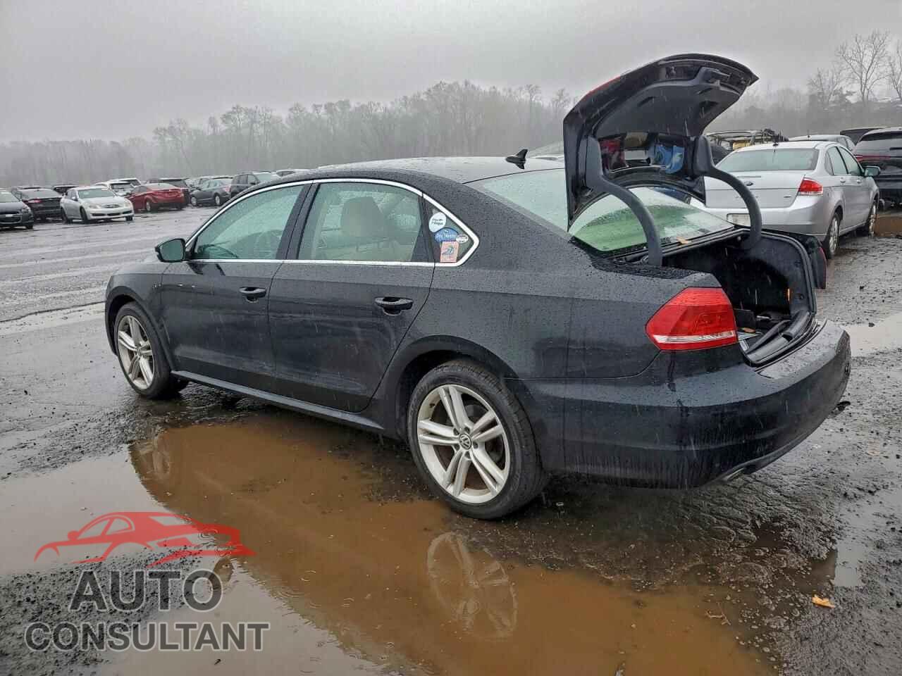 VOLKSWAGEN PASSAT 2014 - 1VWBN7A38EC003680