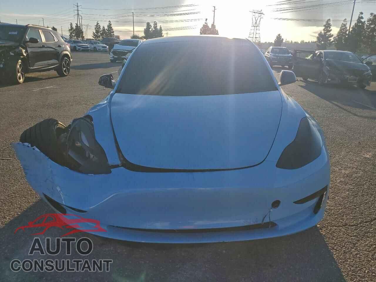 TESLA MODEL 3 2021 - 5YJ3E1EB3MF004291
