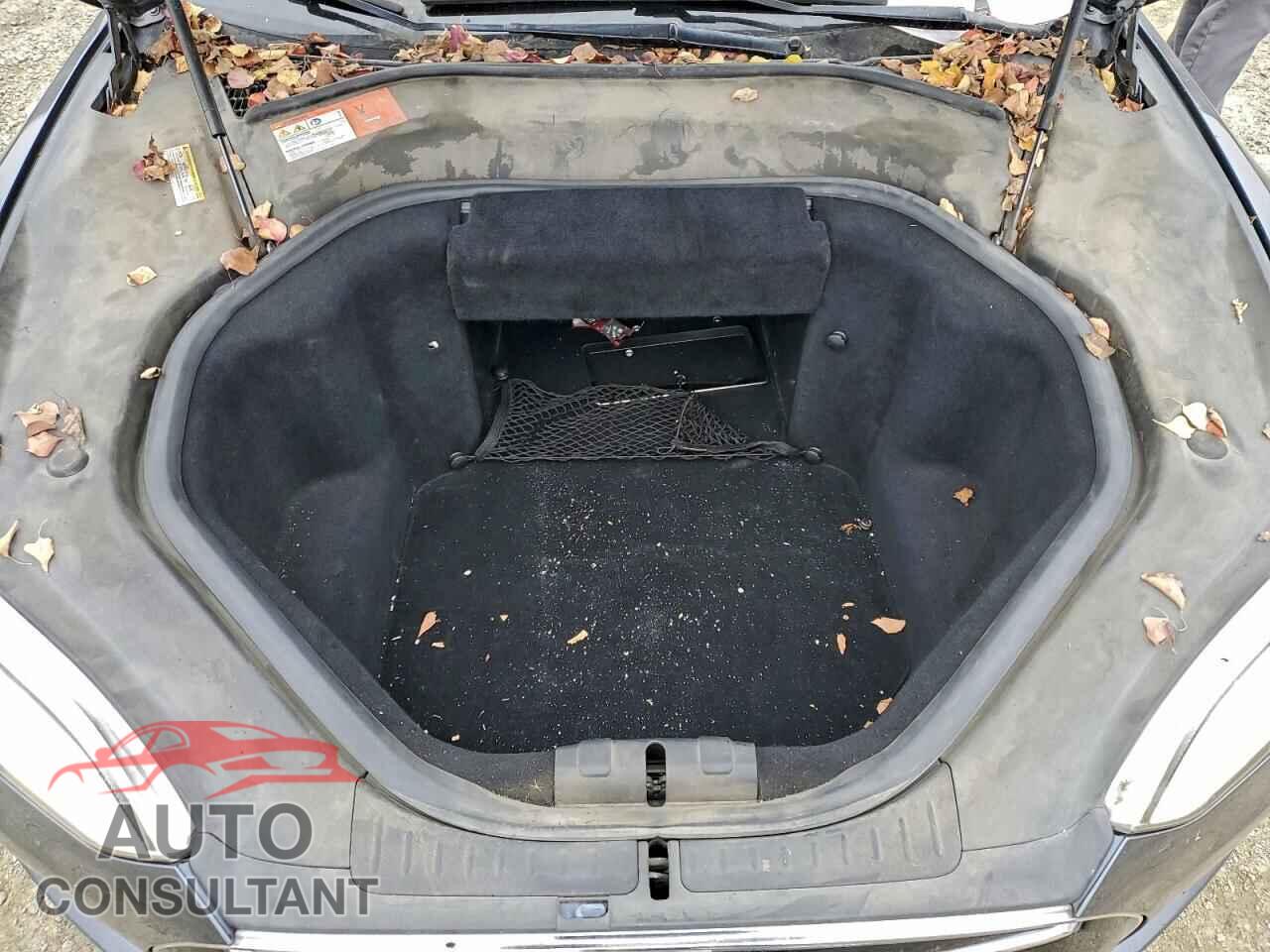 TESLA MODEL S 2015 - 5YJSA1S19FF099526