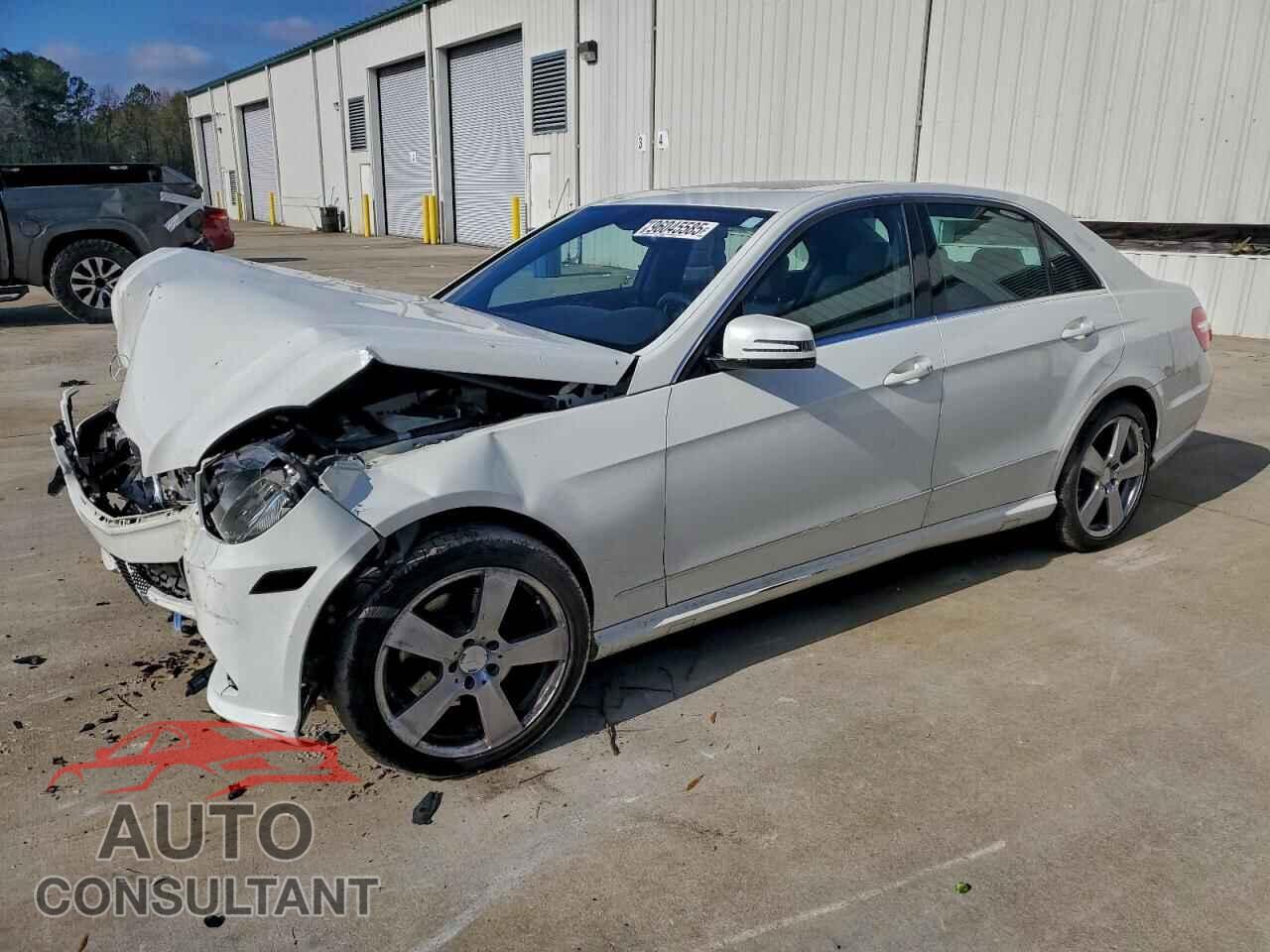 MERCEDES-BENZ E-CLASS 2010 - WDDHF5GB8AA209638