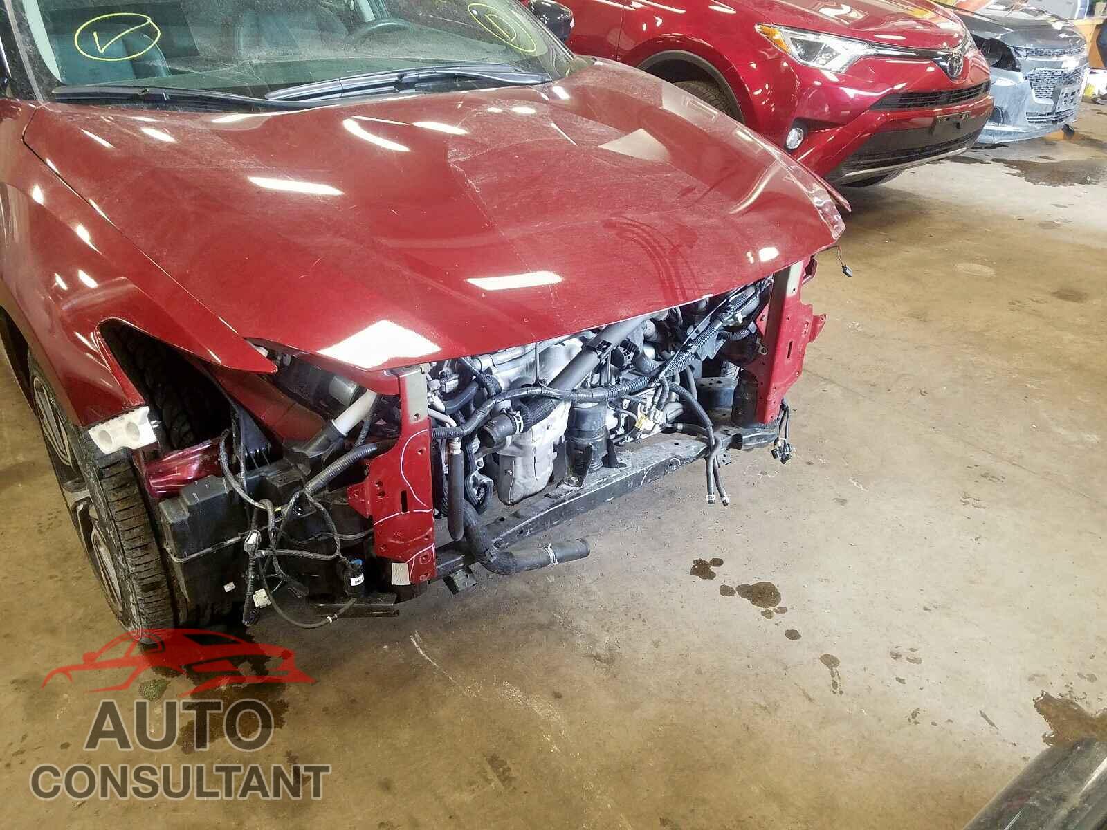 NISSAN MAXIMA 2017 - 1N6AA1E59KN514881