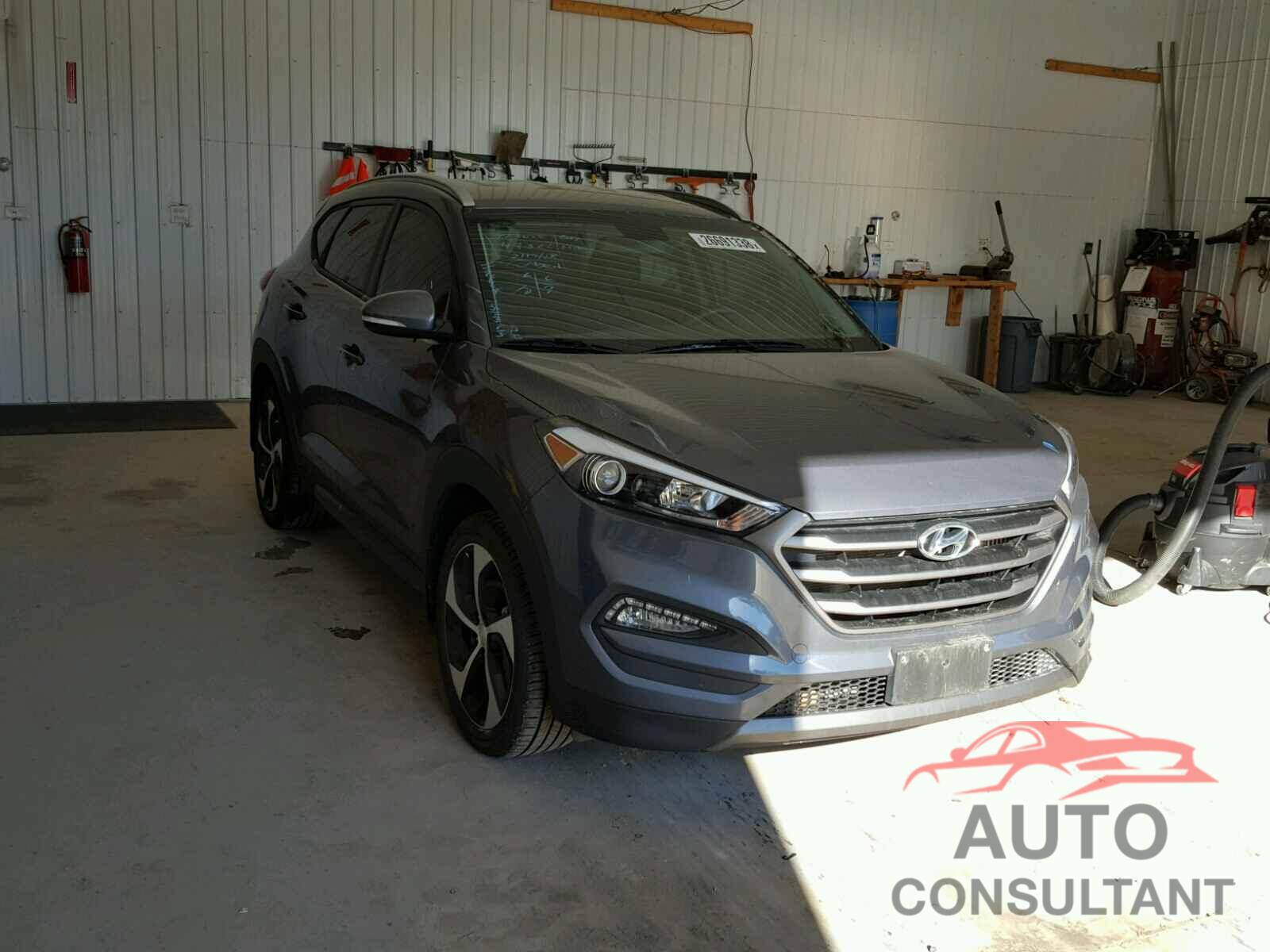 HYUNDAI TUCSON 2016 - KM8J33A25GU075711