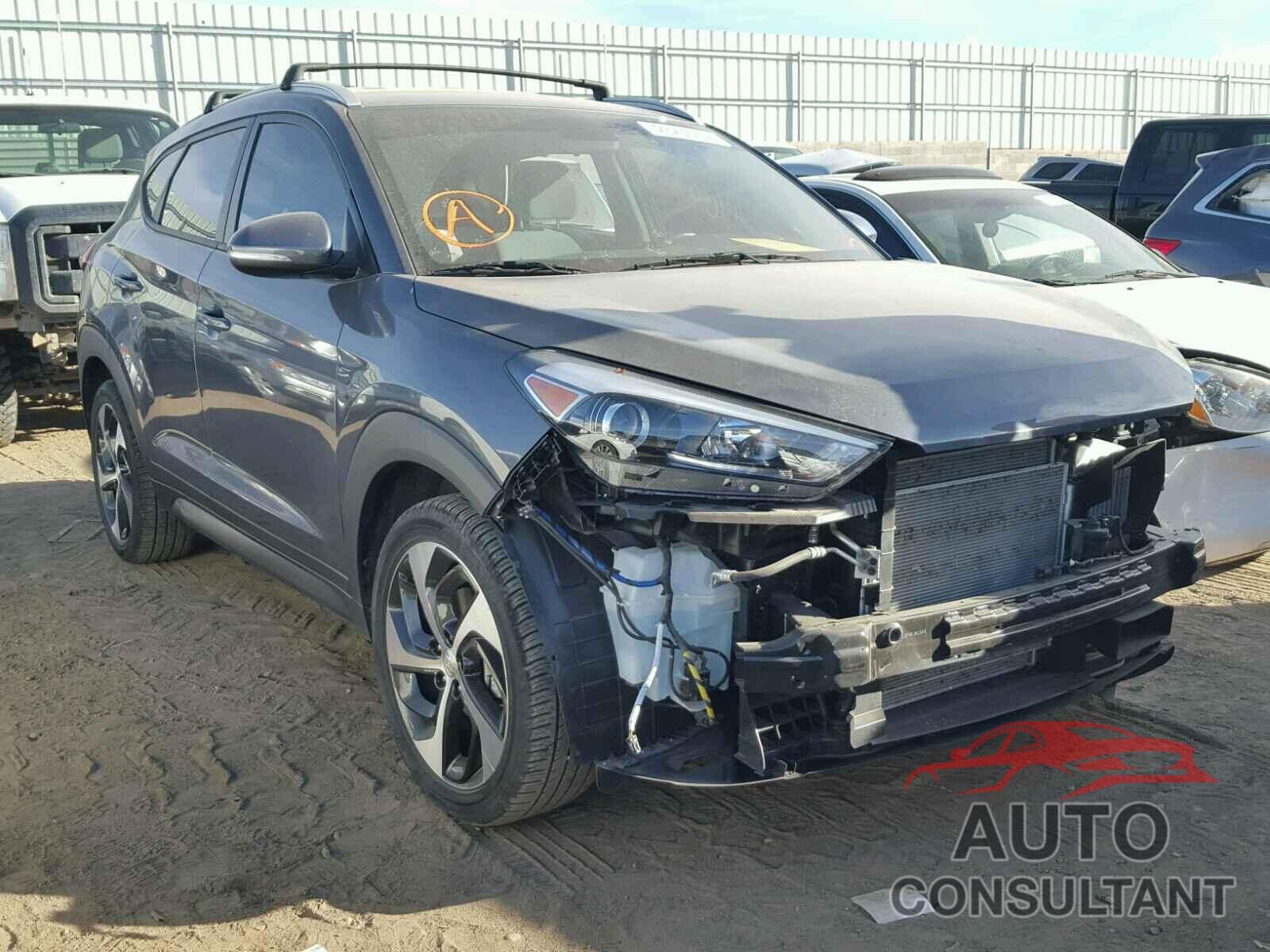HYUNDAI TUCSON 2016 - KM8J33A24GU198366