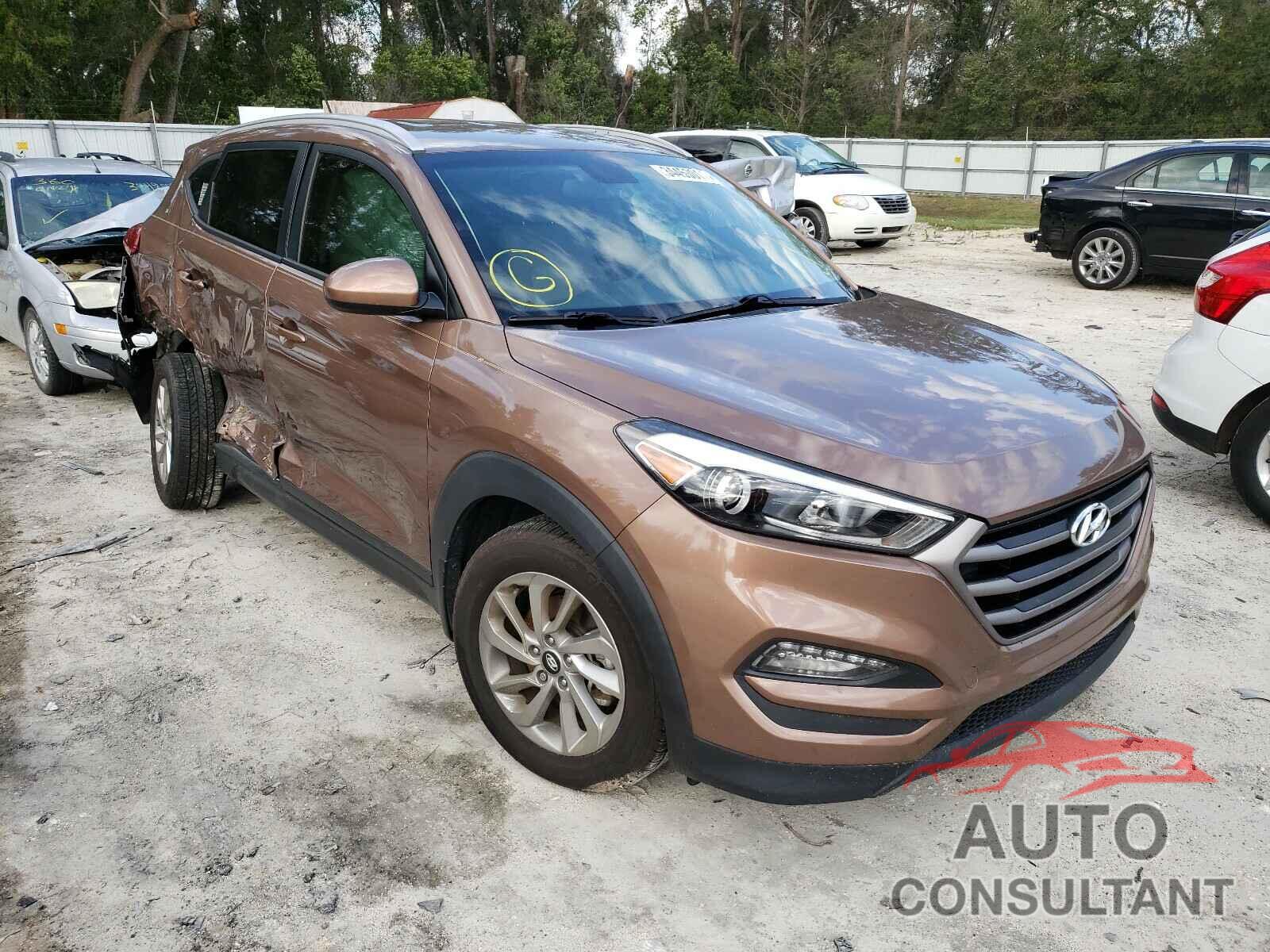 HYUNDAI TUCSON 2016 - KM8J33A49GU214577