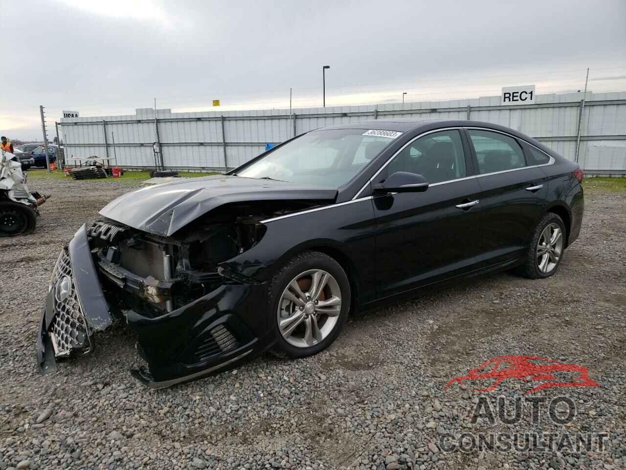HYUNDAI SONATA 2019 - 5NPE34AF0KH749457