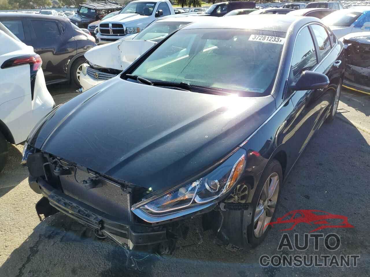 HYUNDAI SONATA 2019 - 5NPE34AF6KH732680