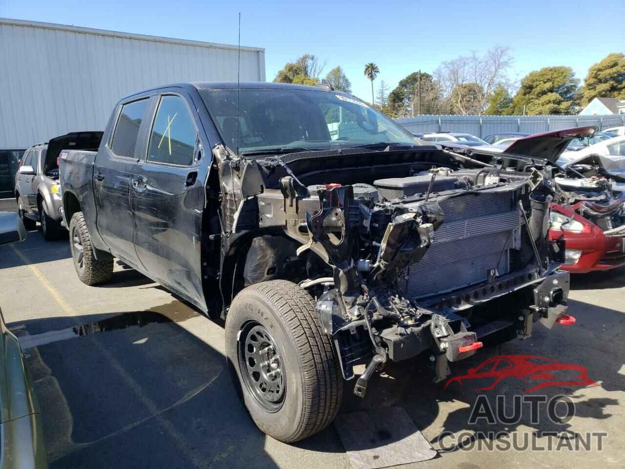 CHEVROLET SILVERADO 2020 - 1GCPYFEL9LZ211033