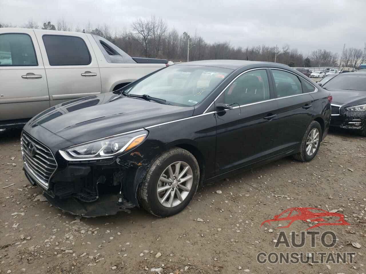 HYUNDAI SONATA 2019 - 5NPE24AF0KH740132