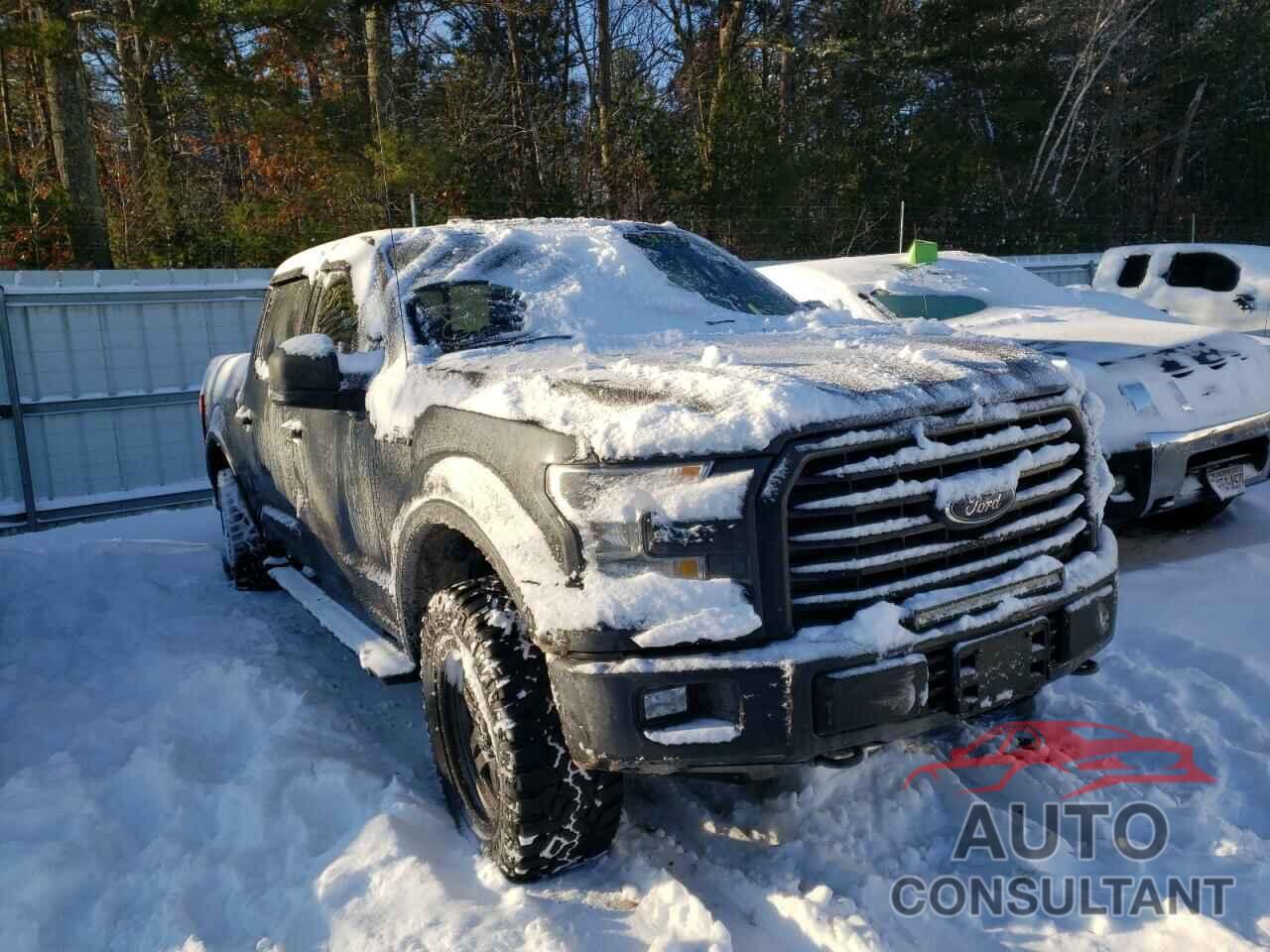 FORD F-150 2016 - 1FTEW1EF0GFA48841
