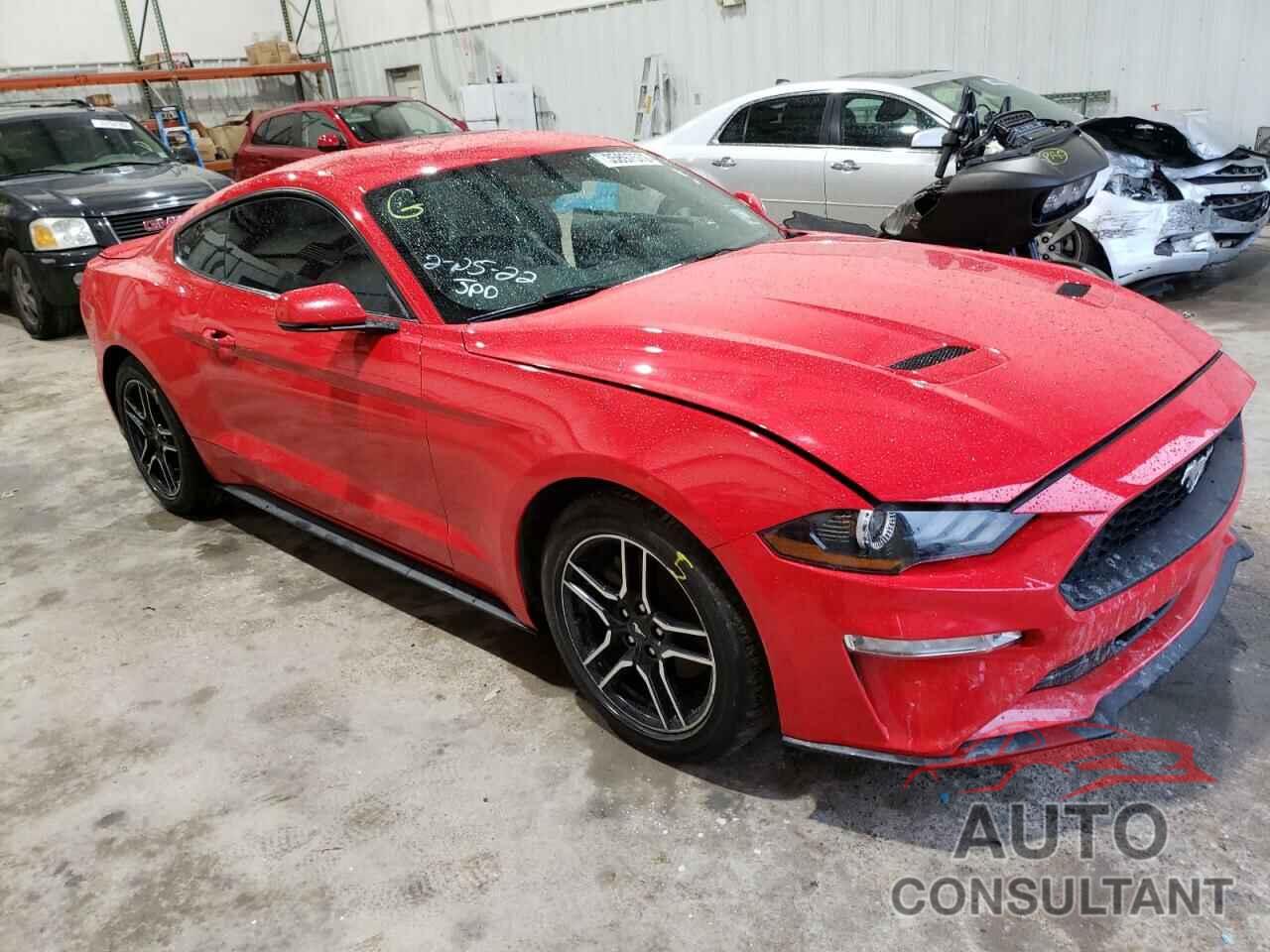 FORD MUSTANG 2019 - 1FA6P8TH5K5172123