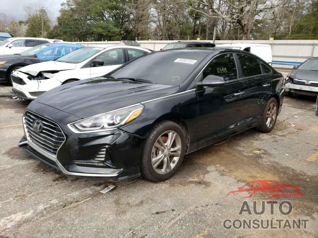 HYUNDAI SONATA 2018 - 5NPE34AF5JH647019