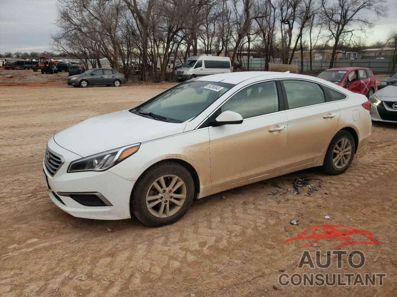 HYUNDAI SONATA 2017 - 5NPE24AF4HH539956