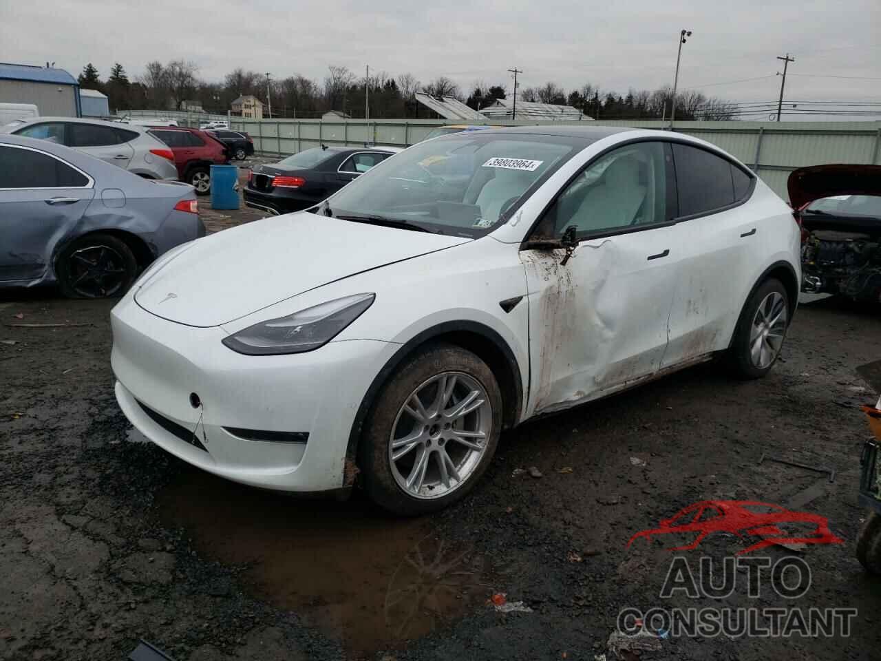 TESLA MODEL Y 2022 - 7SAYGAEEXNF546115