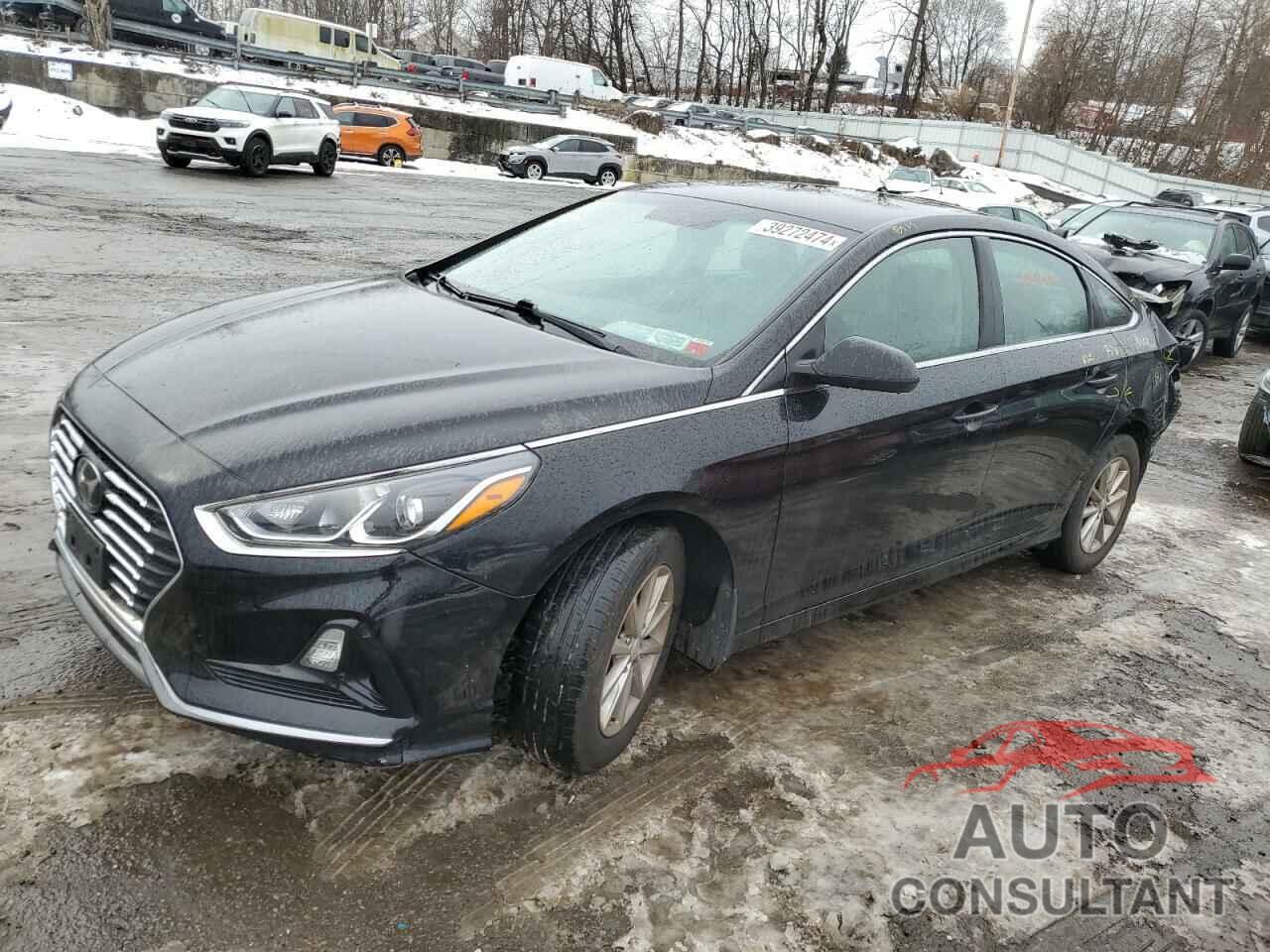 HYUNDAI SONATA 2019 - 5NPE24AF8KH809696