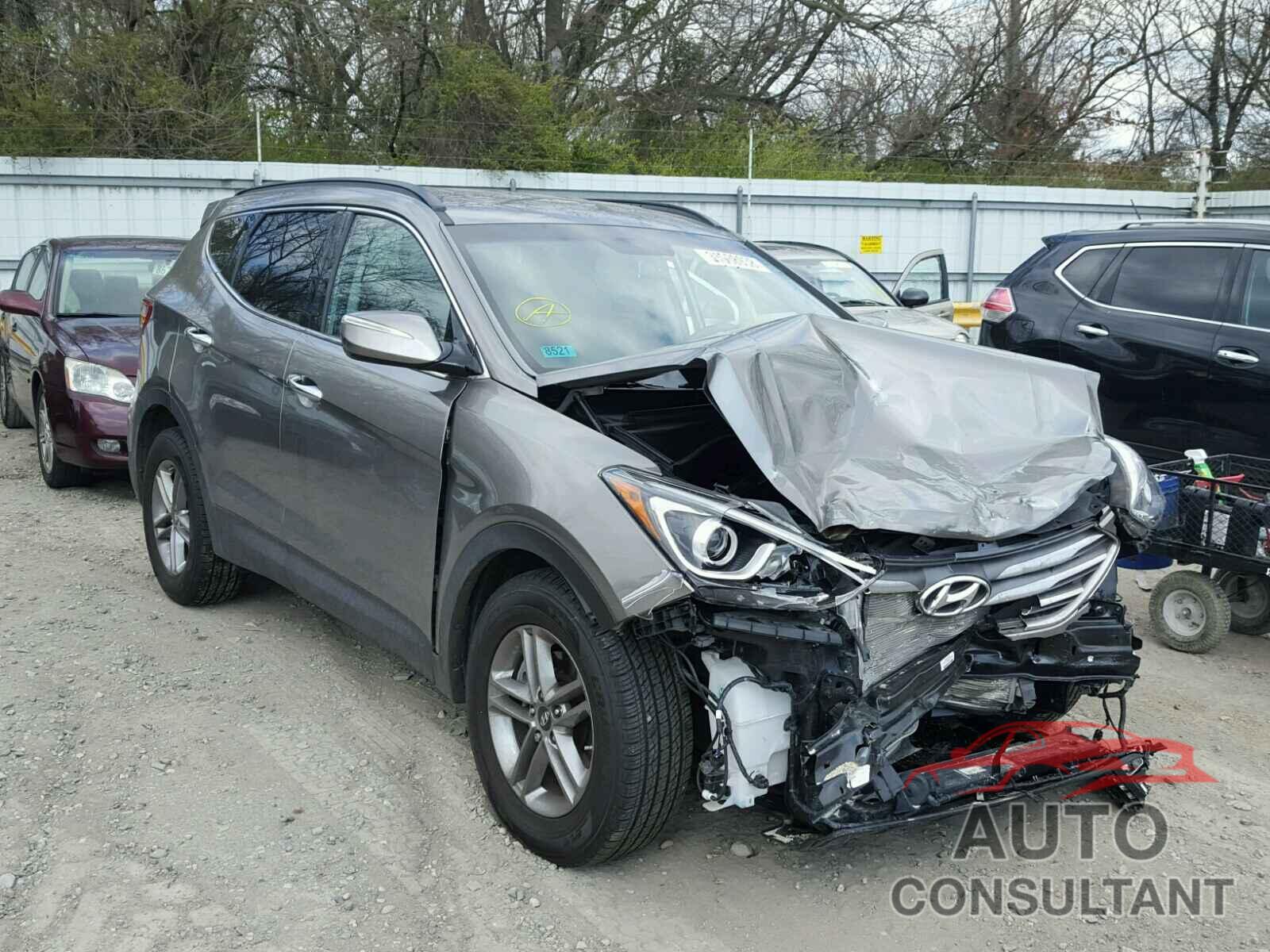 HYUNDAI SANTA FE 2017 - 5NMZUDLB0HH021264