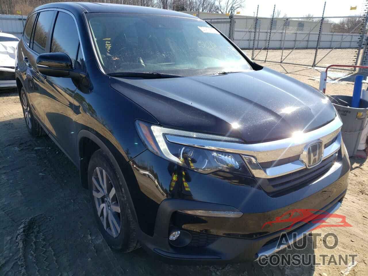 HONDA PILOT 2019 - 5FNYF5H51KB032832
