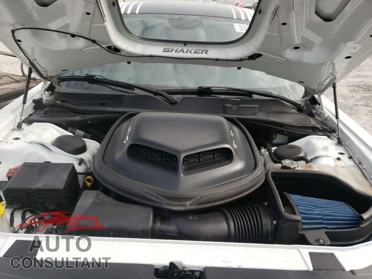 DODGE CHALLENGER 2017 - 2C3CDZBT9HH617311