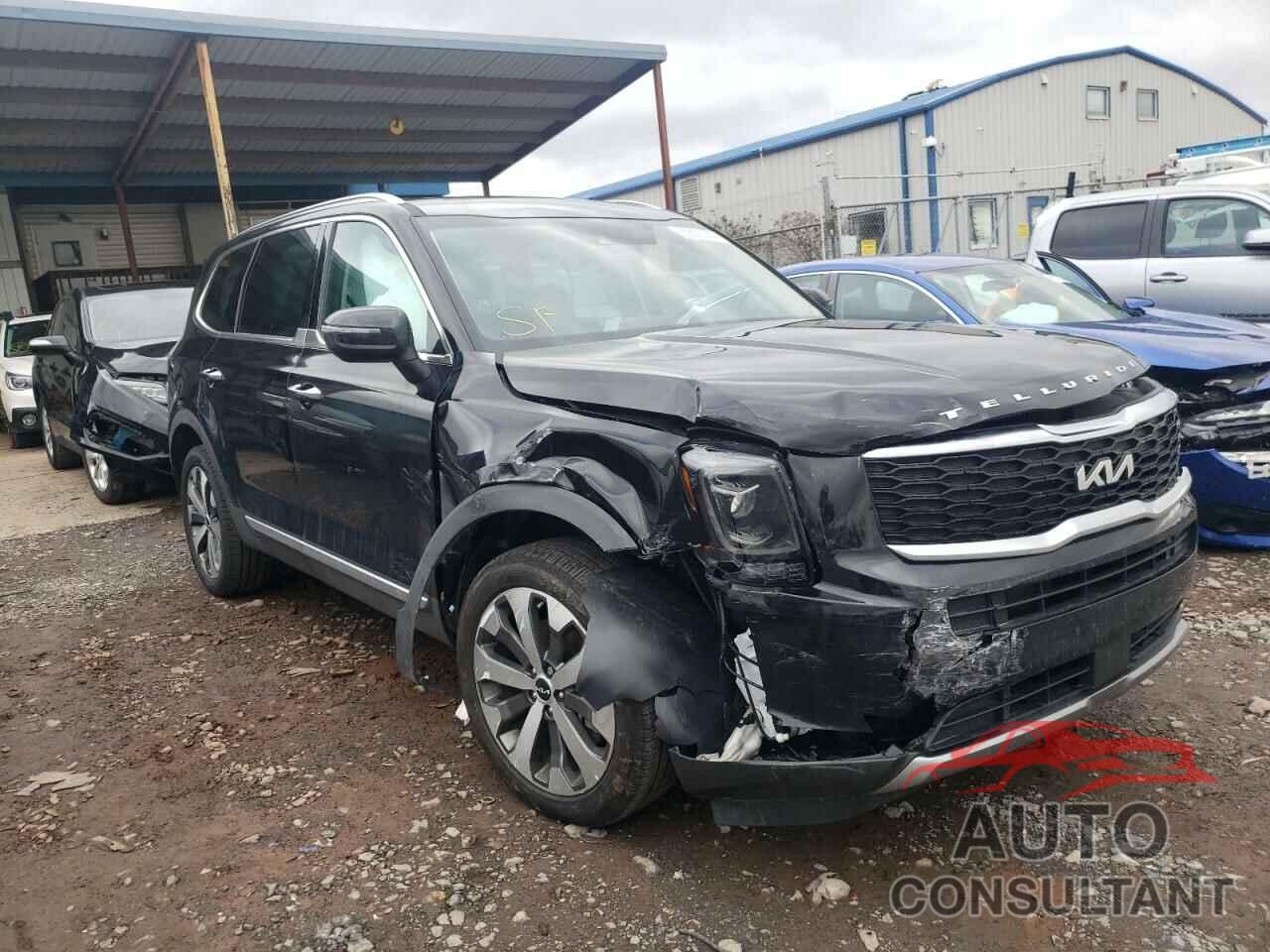 KIA TELLURIDE 2022 - 5XYP6DHC2NG197919