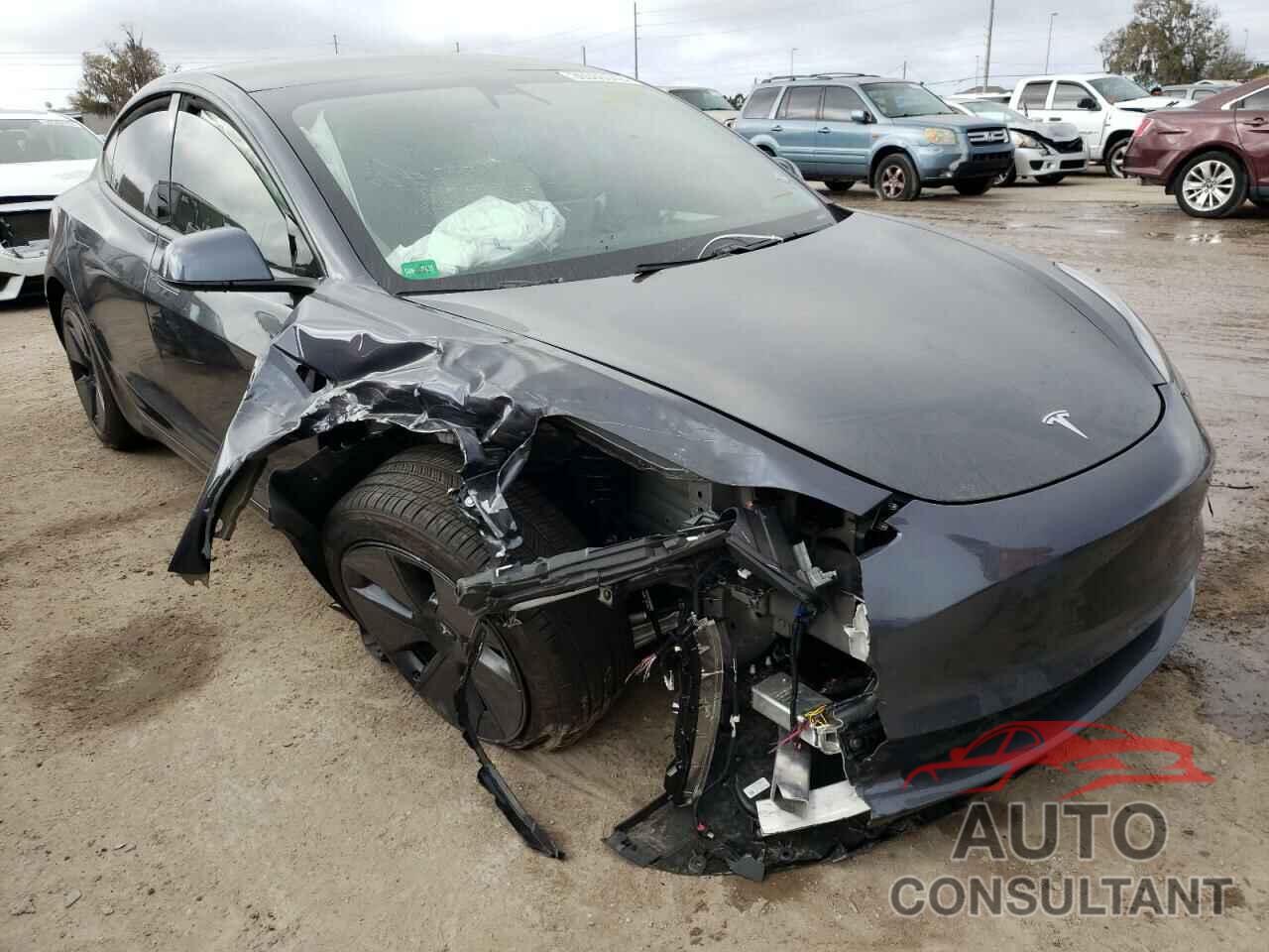 TESLA MODEL 3 2021 - 5YJ3E1EB8MF981281