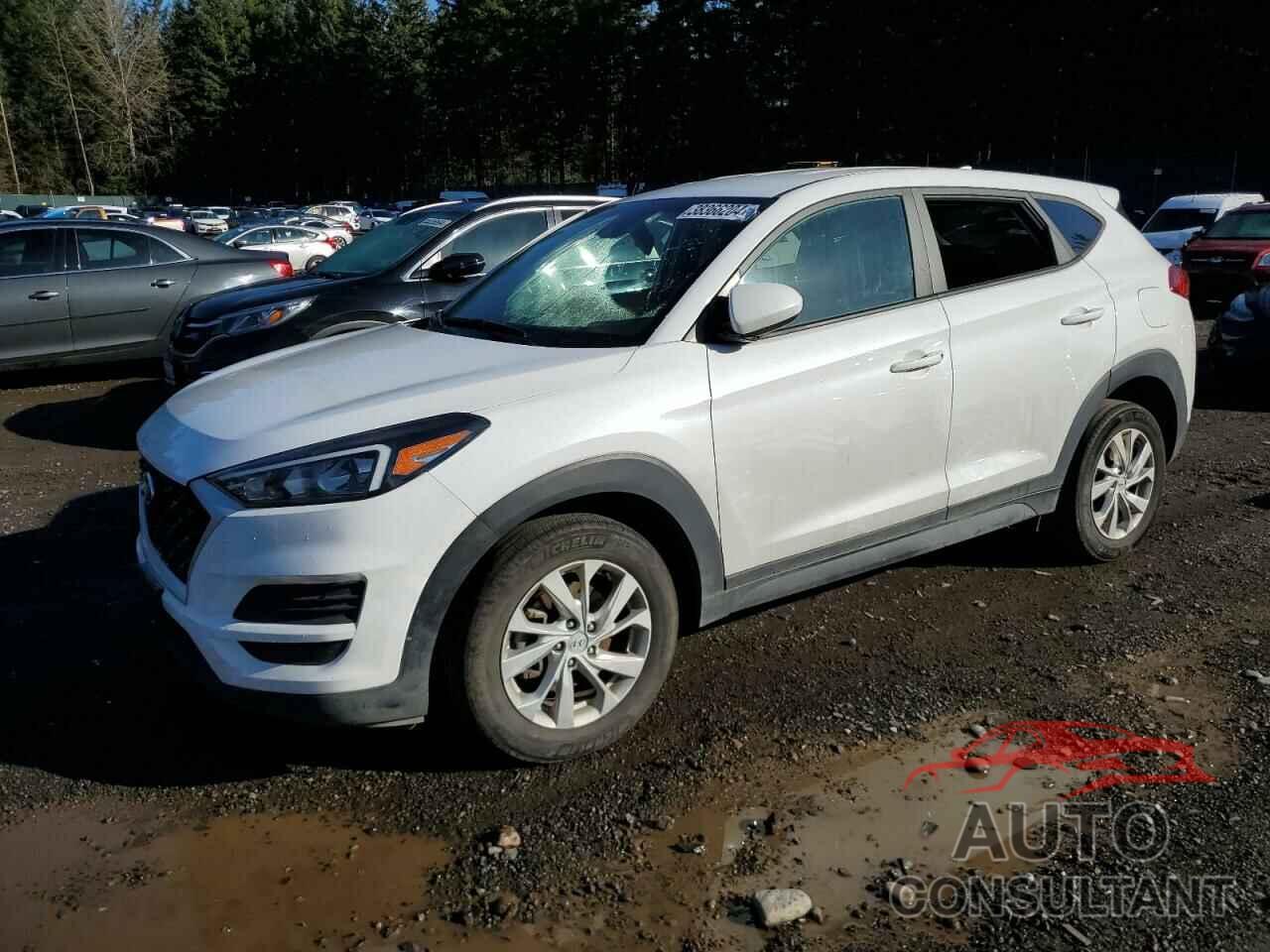 HYUNDAI TUCSON 2019 - KM8J2CA45KU063782