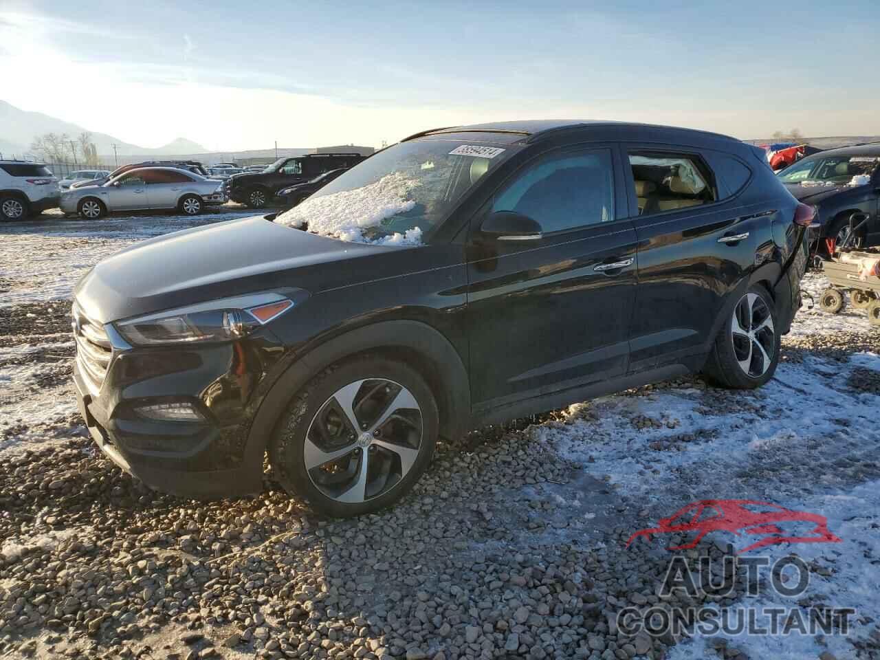 HYUNDAI TUCSON 2016 - KM8J33A27GU262190