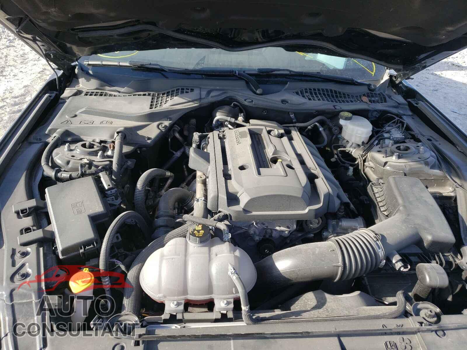 FORD MUSTANG 2019 - 1FA6P8TH7K5194592